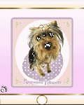 pic for dog princess
